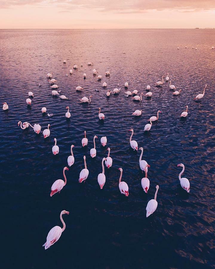 Villa Fernweh - Delta De L'Ebre Ріумар Екстер'єр фото